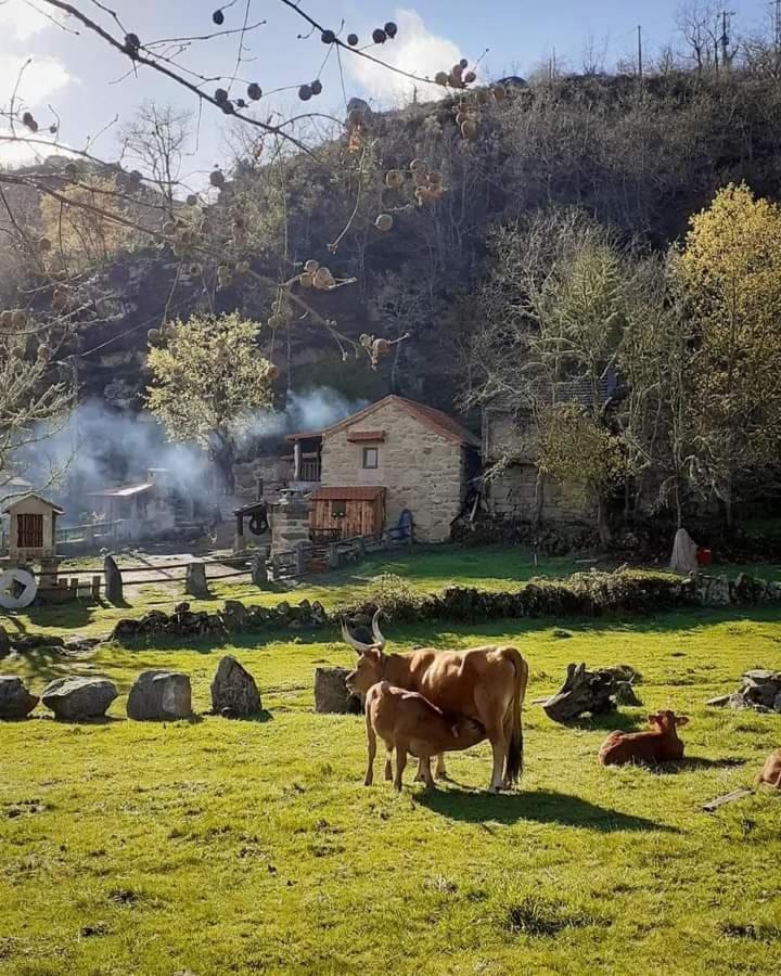 Aldeia De Pontes - Castro Laboreiro Dış mekan fotoğraf
